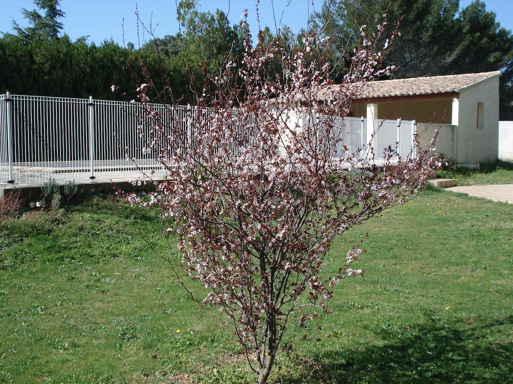 B&B L'Oustalet de Sylvie Villeneuve-lès-Avignon Extérieur photo
